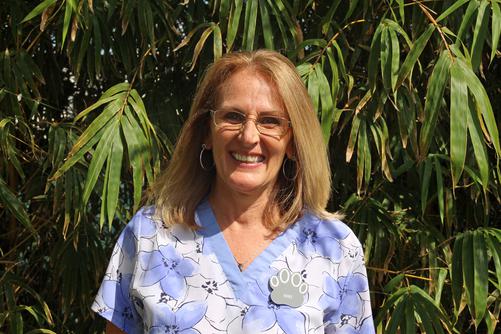 Niki has been with Stuart Animal Hospital since 2014. She has dual roles as a Credentialed Technician as well as our Office Manager. She has almost 40 years experience in the Veterinary field. She has a special interest in Feline Medicine. Niki is also known as our "Cat Whisperer!"
